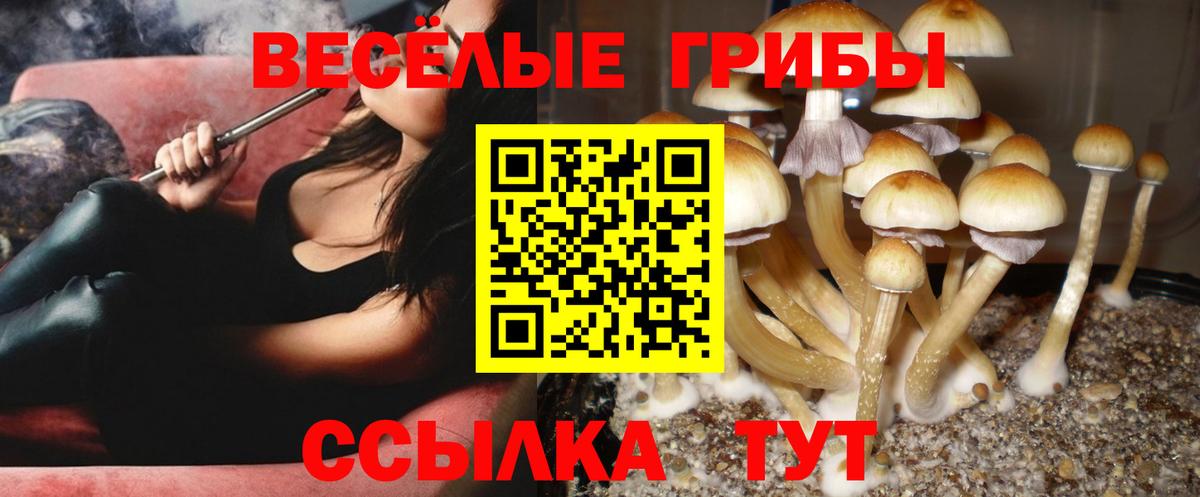 Галлюциногенные грибы GOLDEN TEACHER Нижний Новгород