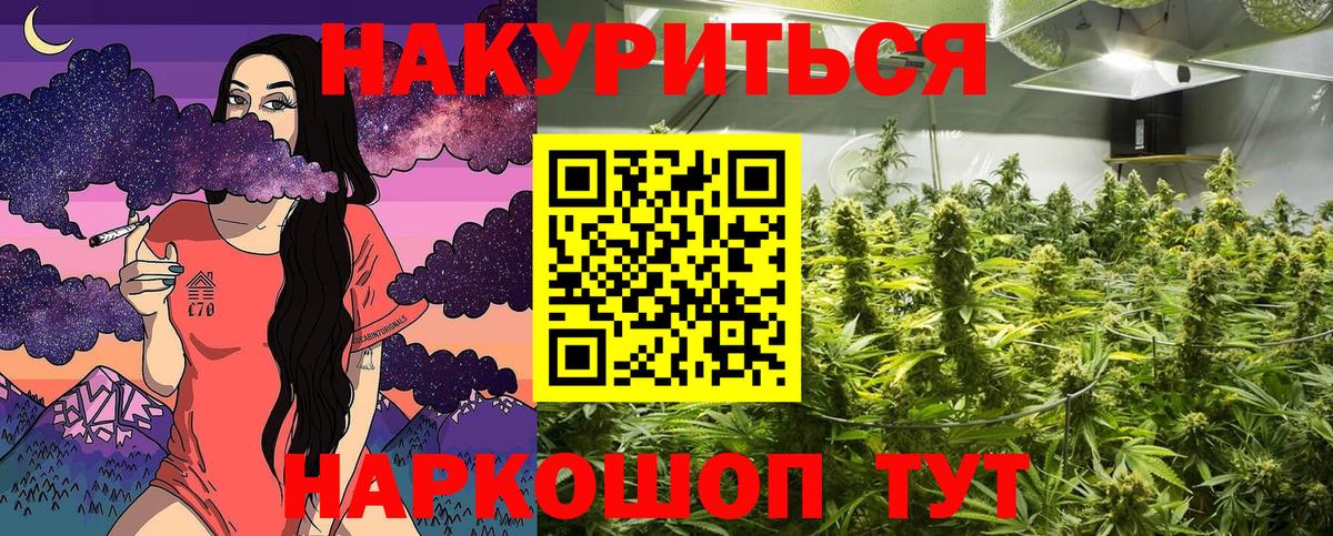 Марихуана план  Канабис марихуана  Вход с VPN  Нижний Новгород 